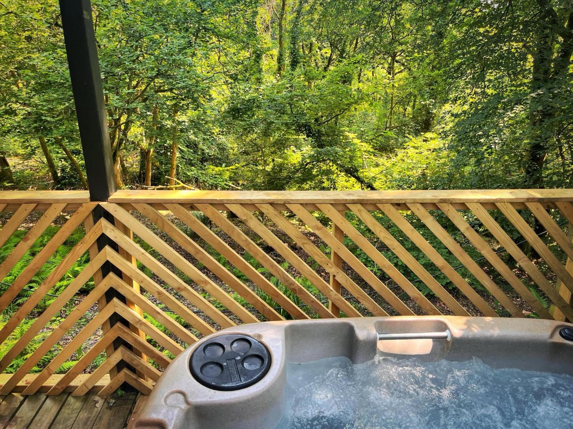 Goldcrest 3-Hot Tub-Woodland Lodges-Carmarthenshire-Tenby Экстерьер фото