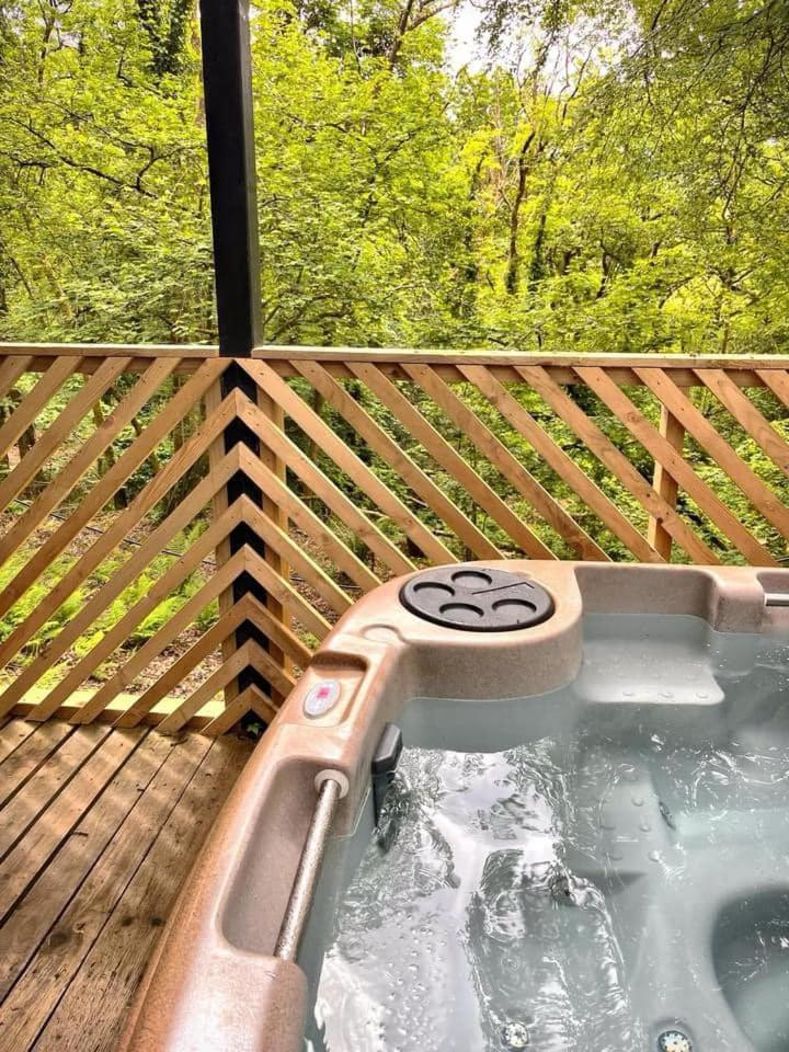 Goldcrest 3-Hot Tub-Woodland Lodges-Carmarthenshire-Tenby Экстерьер фото